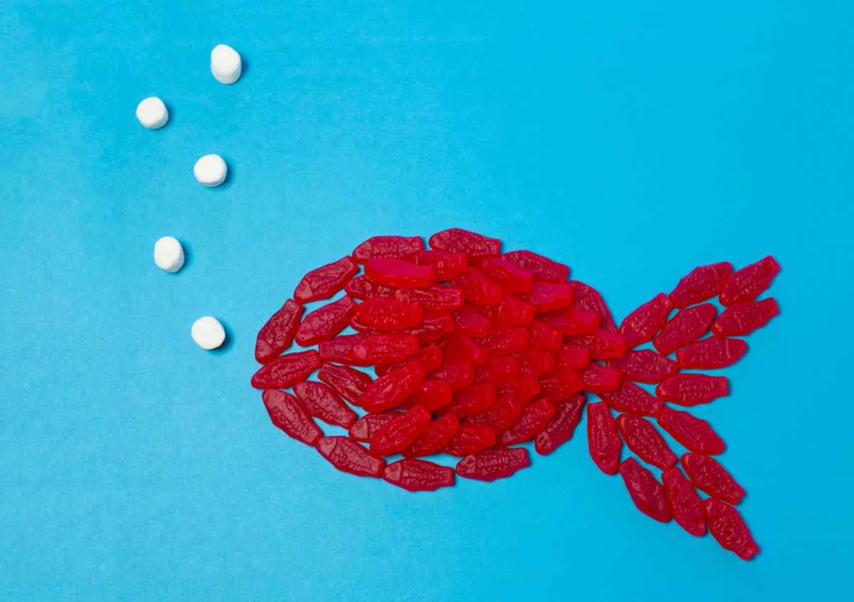 Caramelle a forma di pesce svedesi: una delizia nordica da sgranocchiare