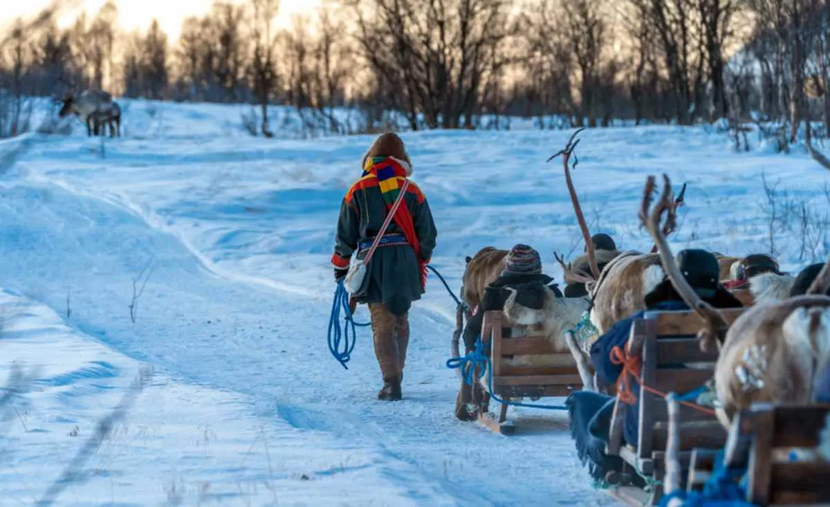 Un Sami tira una slitta trainata da diverse renne in un paesaggio svedese completamente innevato.