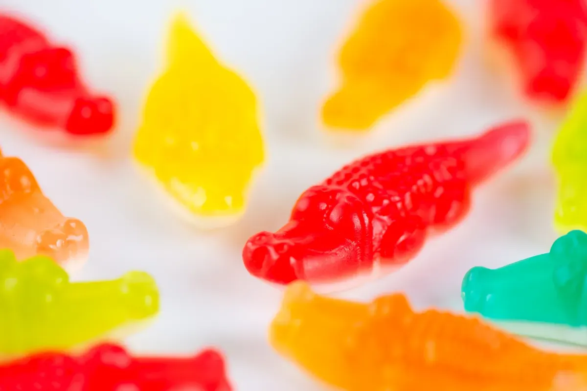 La guida definitiva agli snack svedesi: una delizia per i viaggiatori