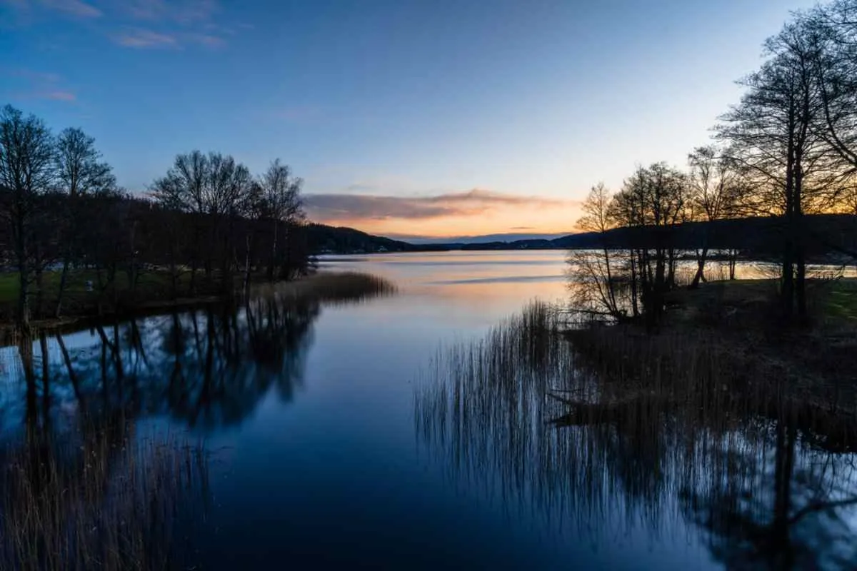 Lac paisible près de Borås au crépuscule, avec des roseaux et des silhouettes d’arbres se reflétant dans l’eau.