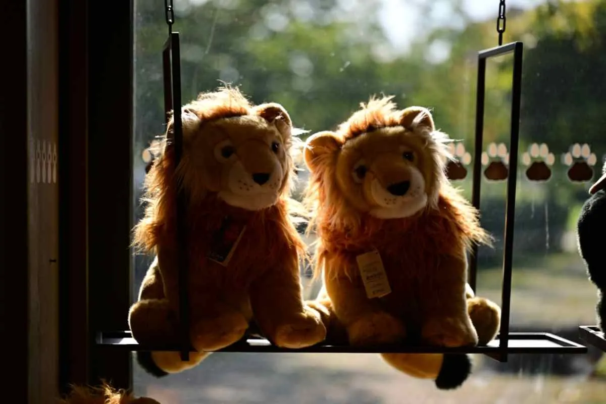 Deux peluches de lions exposées dans la vitrine de la boutique de souvenirs du zoo de Borås.