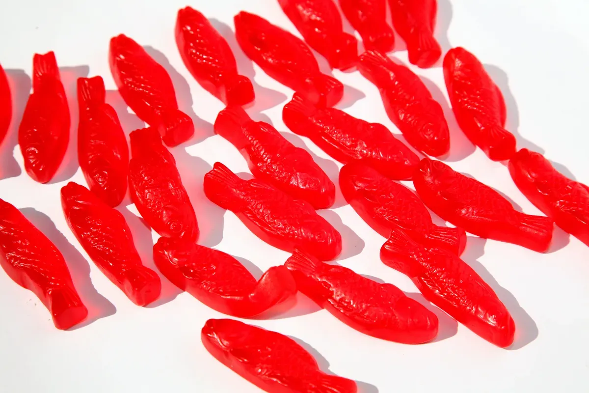 El sabor del pescado sueco