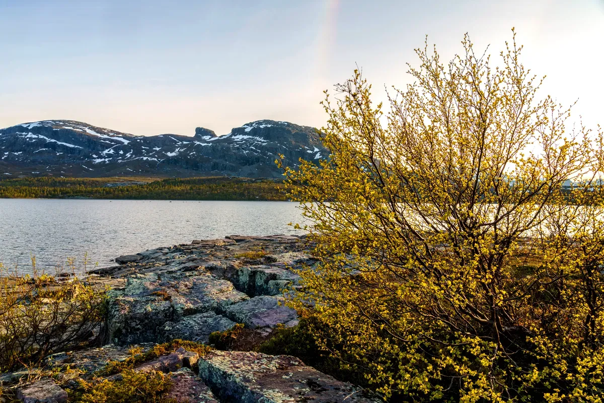Parque Nacional de Stora Sjöfallet