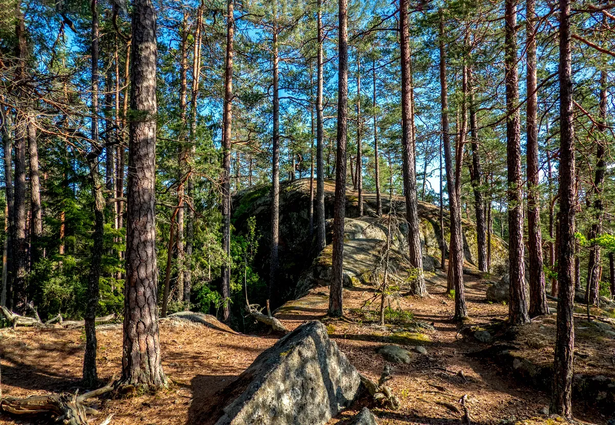 Parque Nacional de Tiveden