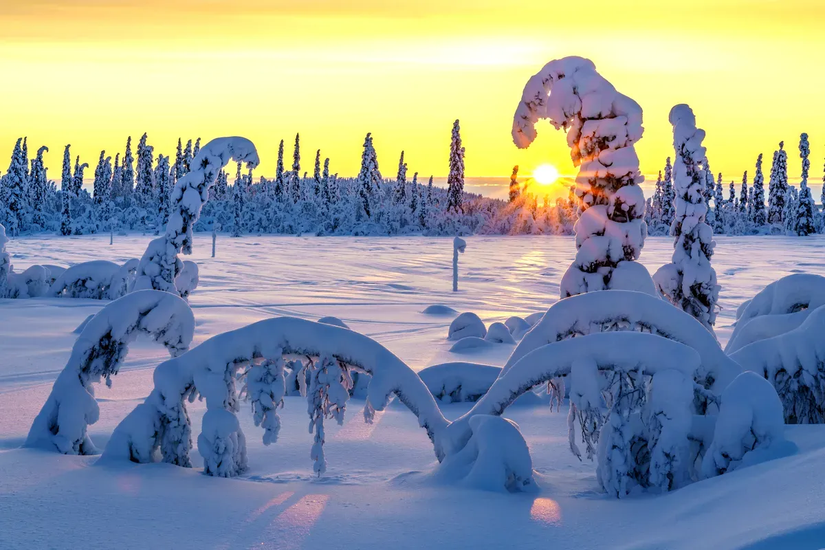 Descubre la belleza natural de Suecia