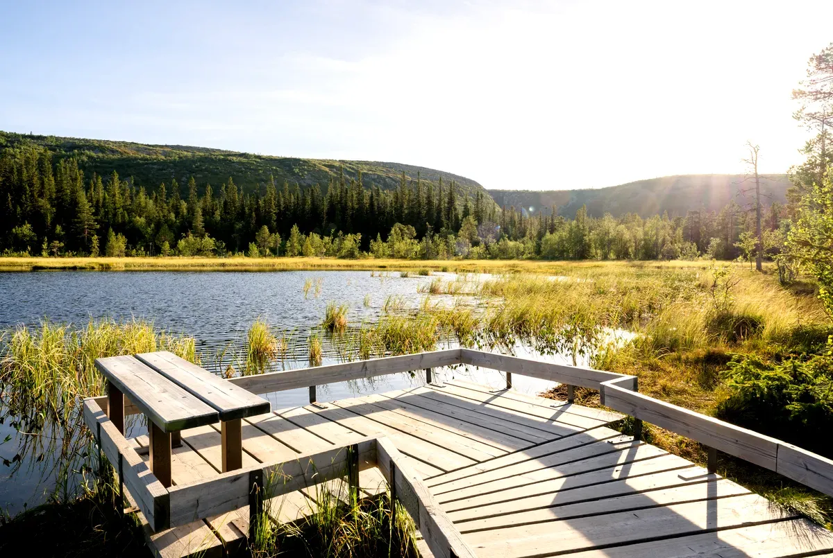 Parc national de Fulufjället