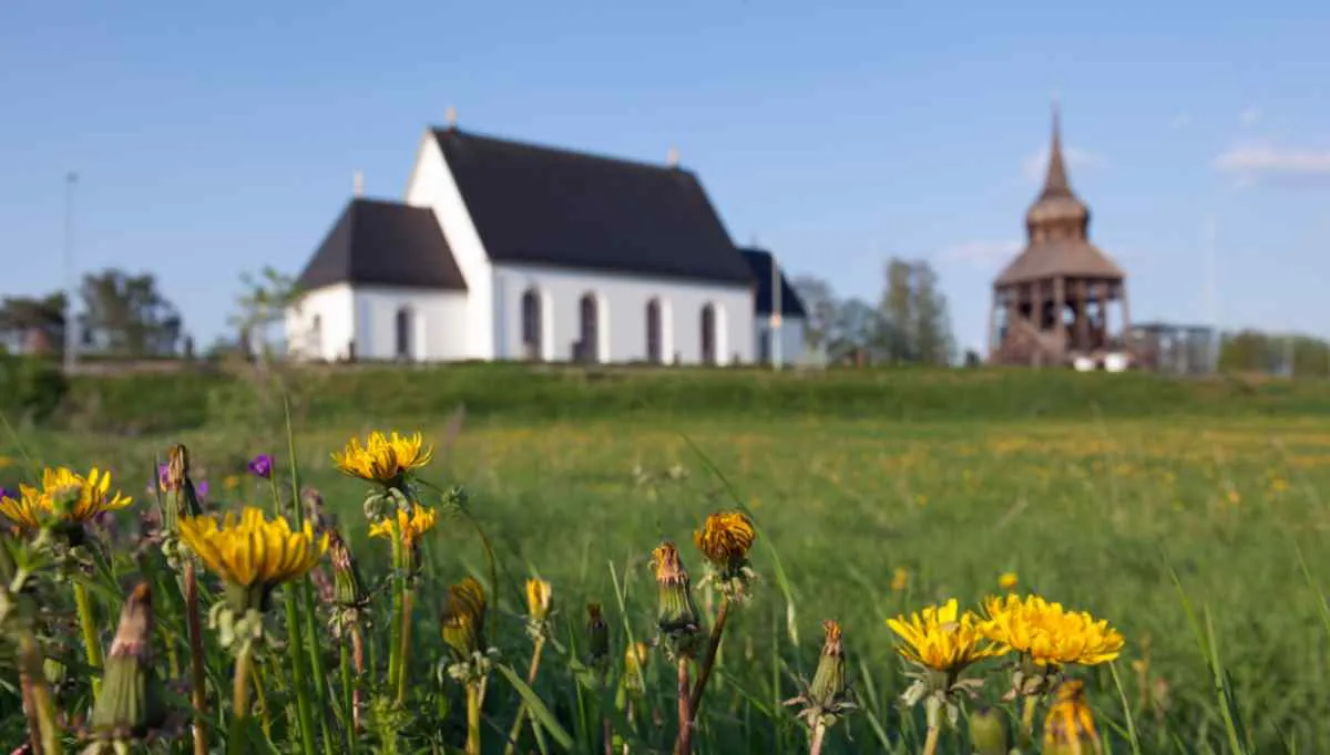 La chiesa di Froso in fondo a un campo pieno di fiori
