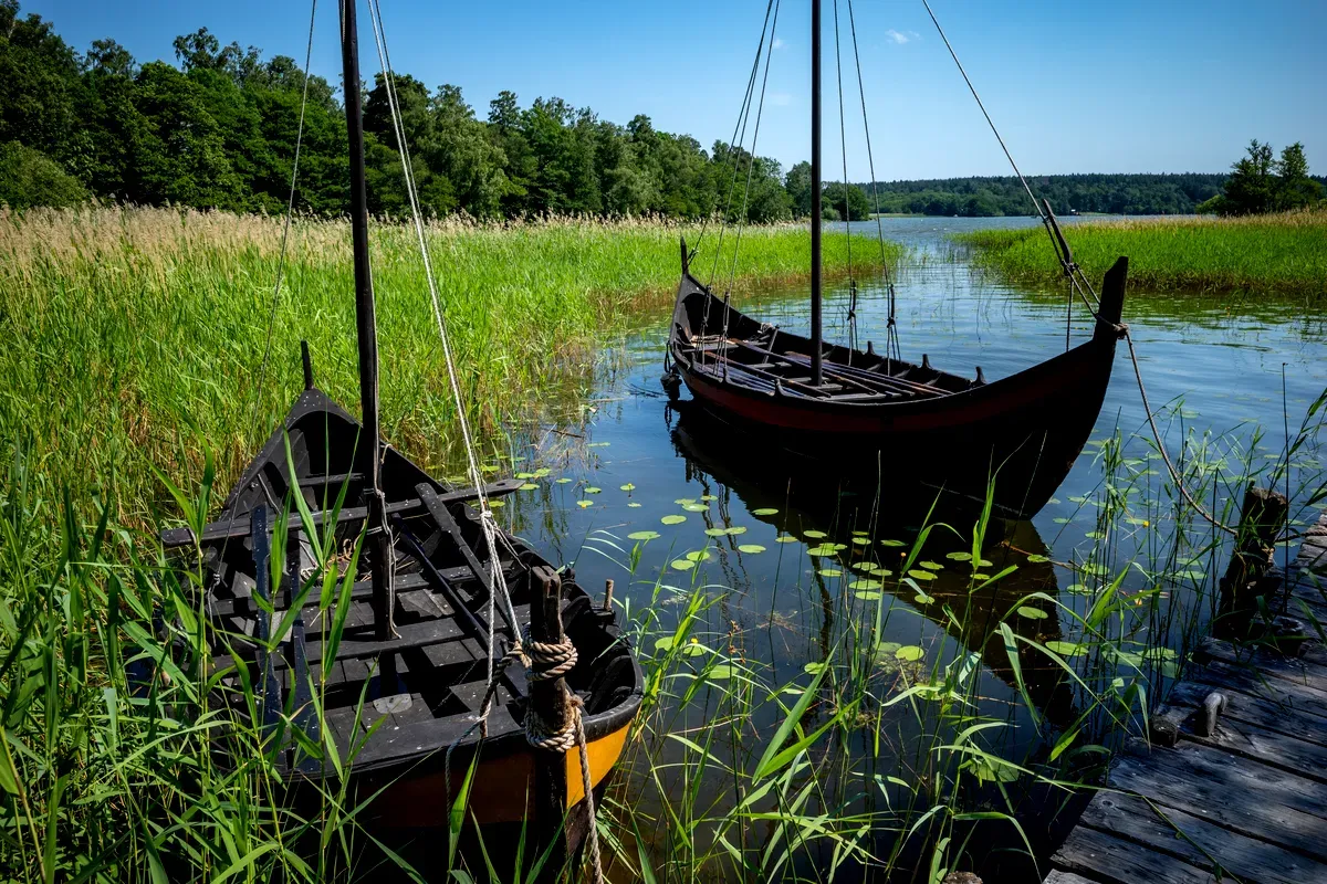 Dos barcos vikingos tradicionales anclados en las tranquilas aguas de Birka, en Suecia, rodeados de exuberante vegetación y altos juncos, que te permiten echar un vistazo a la rica historia marítima de la época vikinga.