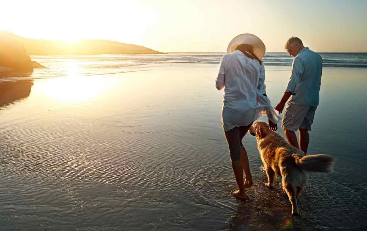 Une famille accompagnée de son chien en voyage en Suède
