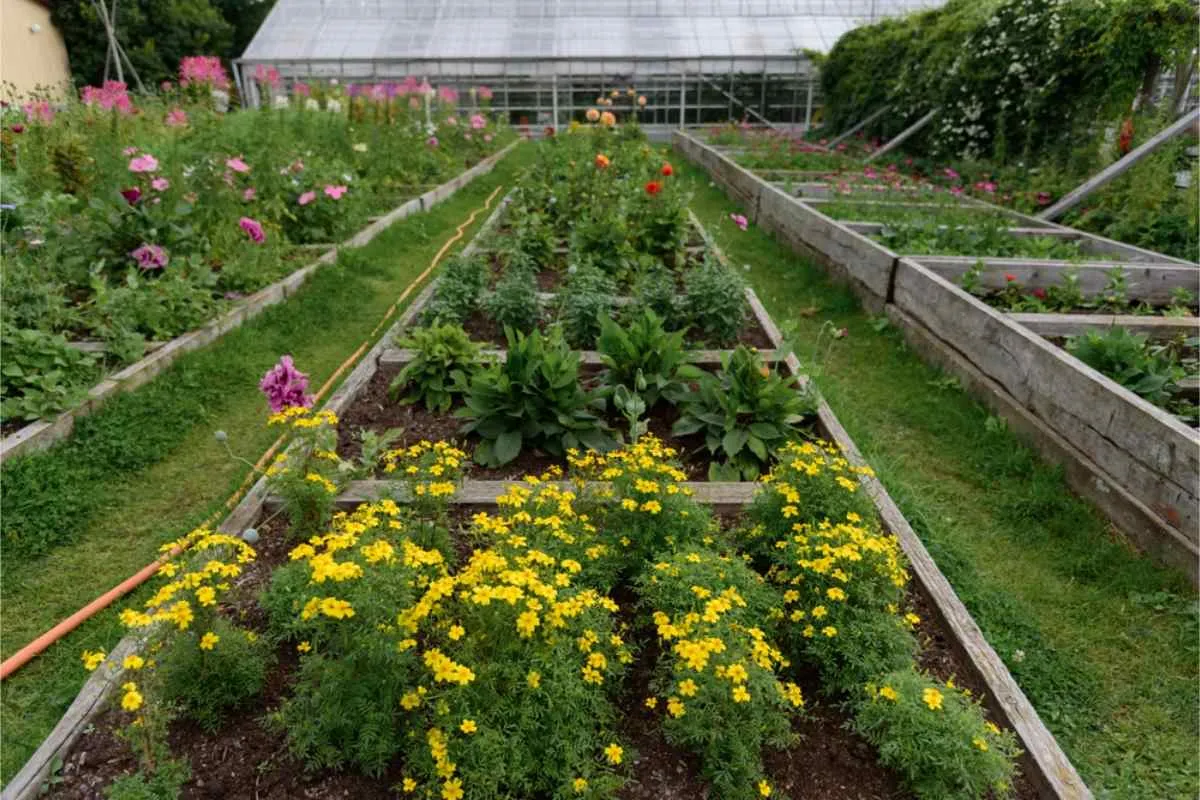El jardín de Rosendal en Estocolmo