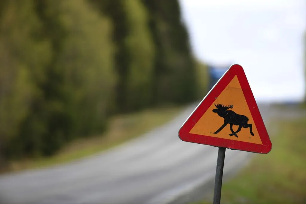 Guida alla segnaletica stradale svedese per i turisti che noleggiano un camper
