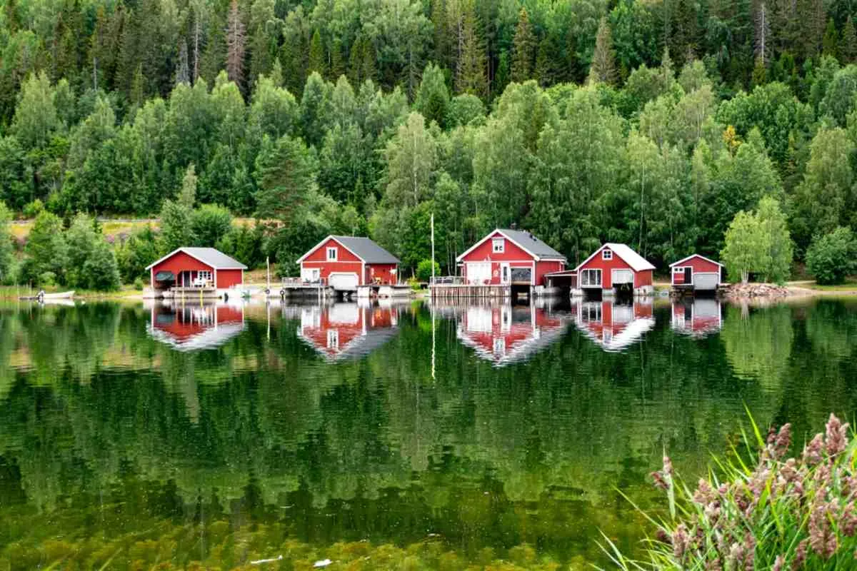 Un lago rodeado de árboles se extiende junto a lo que parece ser una cabaña de camping en Suecia, en un día soleado.