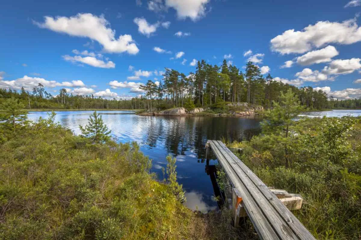 Vista panoramica del lago nella Riserva Naturale di Glaskogen, in Svezia, con un’isola alberata al centro e un cielo parzialmente sereno.