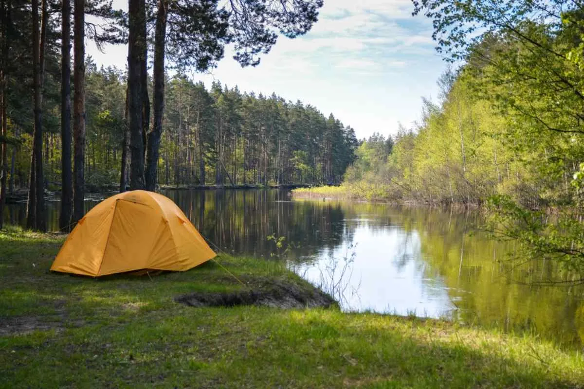 Una tenda rimane aperta sulle rive di un lago, in una foresta svedese completamente immersa nel verde e nella quiete.