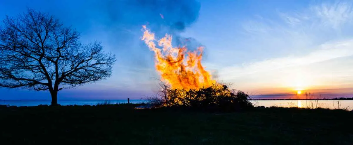 Vista d’insieme di un falò al tramonto in una foresta svedese, nell’ambito di un festival primaverile che si tiene lì.