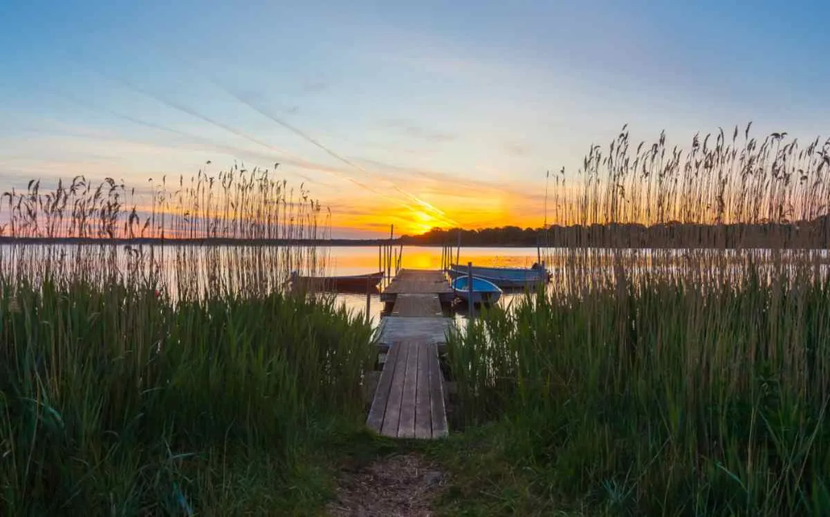 Une jetée en bois menant, à travers de hauts roseaux, à de petits bateaux sur un lac calme au coucher du soleil dans le sud de la Suède : une halte paisible pour passer la nuit lors d’un voyage en camping-car.