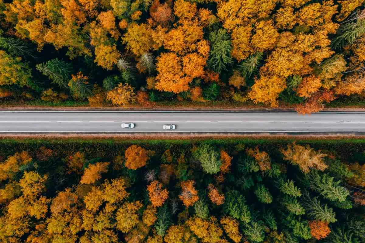 Vue aérienne de deux voitures roulant sur une route rectiligne à travers une forêt automnale dense du sud de la Suède, un itinéraire classique et paisible pour un road trip.