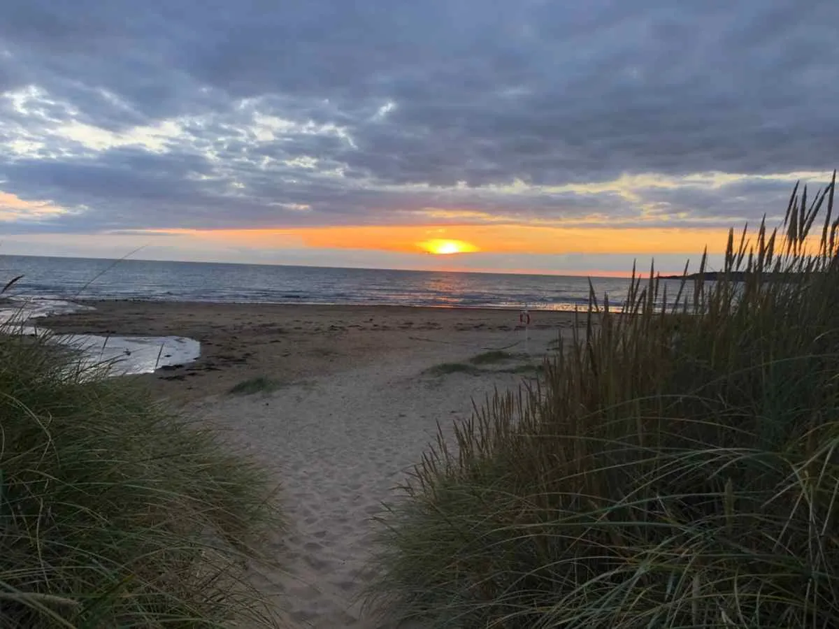 Une plage de sable fin bordée de dunes herbeuses, avec le soleil se couchant sur la mer sur la côte ouest de la Suède : une étape classique en fin de journée dans le Halland.