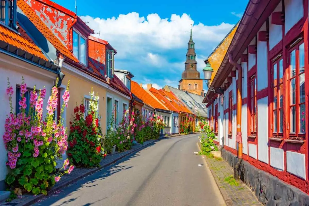 Rue historique et colorée d’Ystad, avec ses maisons à colombages et ses grandes roses trémières en fleurs, l’une des plus jolies villes du sud de la Suède.