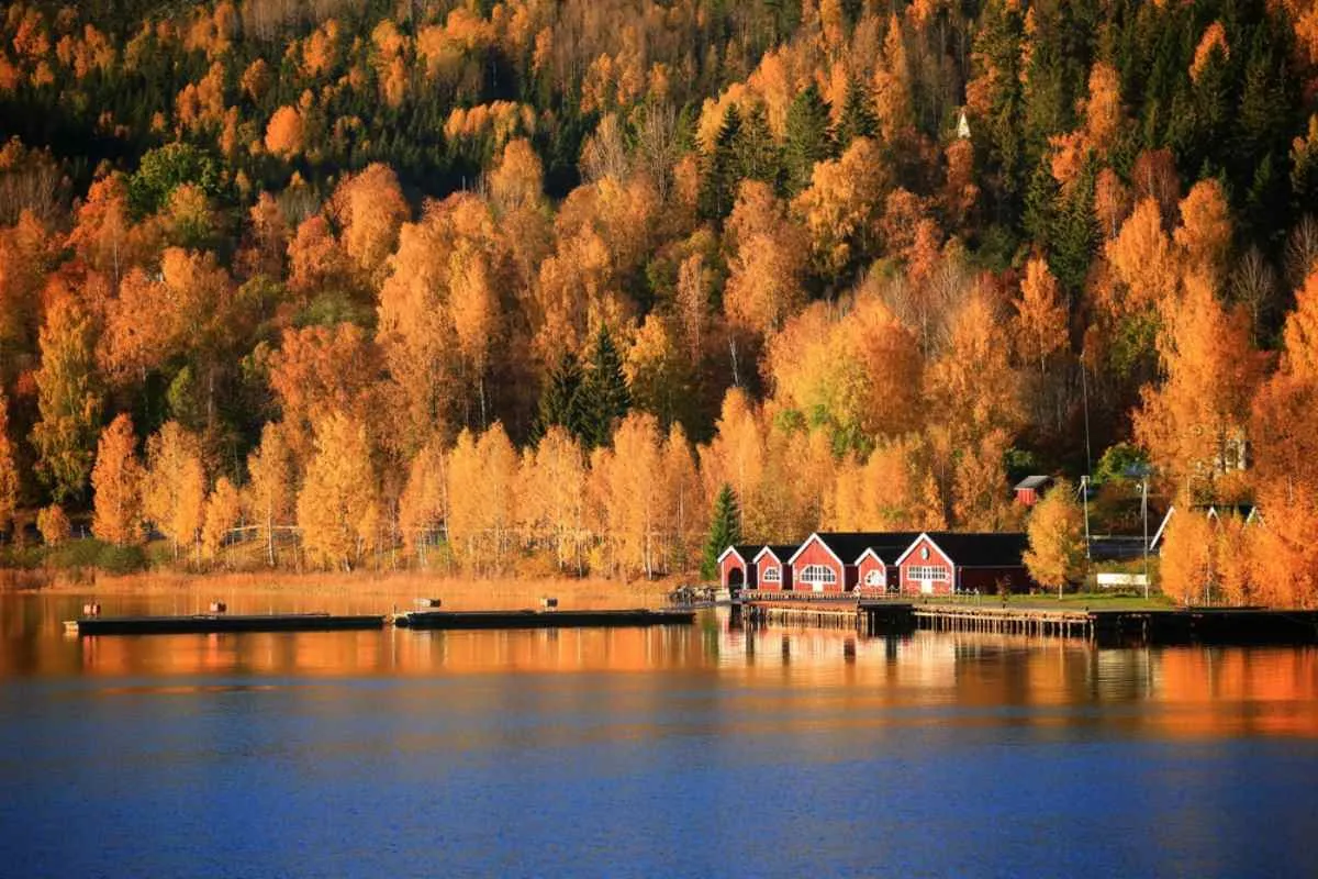Casas rojas a orillas del lago y embarcaderos bajo una ladera de bosque otoñal de vivos colores, reflejados en las aguas tranquilas a lo largo de la Costa Alta de Suecia.