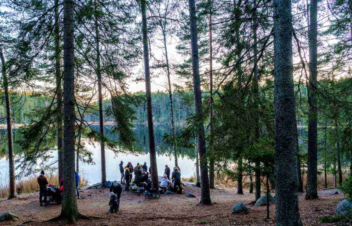 Persone riunite in riva a un lago tranquillo nel Parco Nazionale di Tyresta, circondate da alti pini: una facile fuga nella natura vicino a Stoccolma.