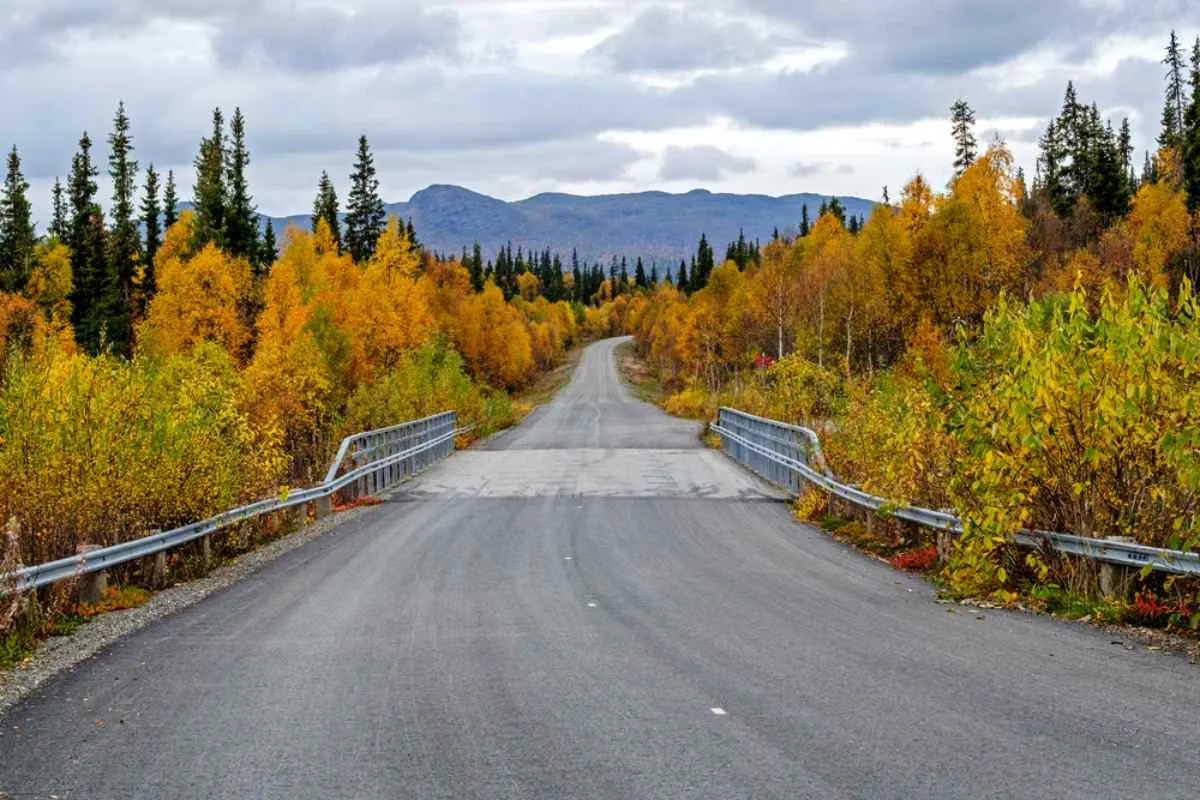 Une route de campagne tranquille traversant un pont, avec des arbres aux couleurs d'automne et des montagnes au loin, en Suède.