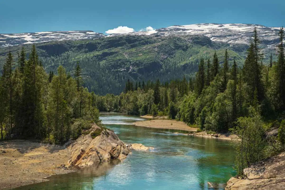 Vackert flodlandskap i Norge omgivet av skogar och snötäckta berg.