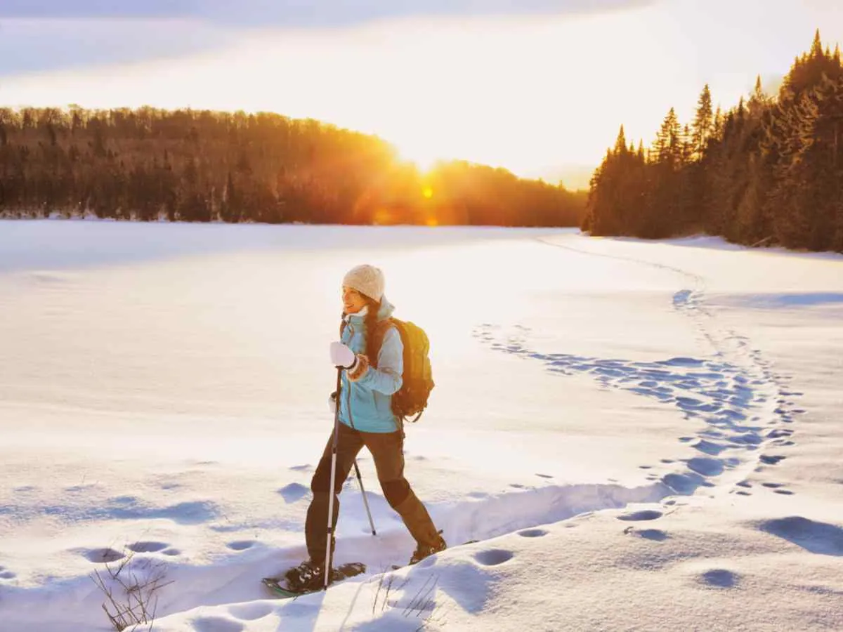 Översiktsbild av en norsk skog helt täckt av snö, där en kvinna klädd i vinterkläder och med en vandringsstav i handen går genom skogen och lämnar fotspår efter sig.