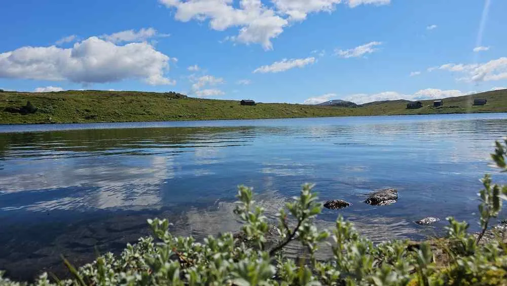 Ein ruhiger See mit sanft plätscherndem Wasser, grünen Hügeln und einem blauen Himmel mit Wolken; im Vordergrund stehen üppig bewachsene Sträucher und Felsen.
