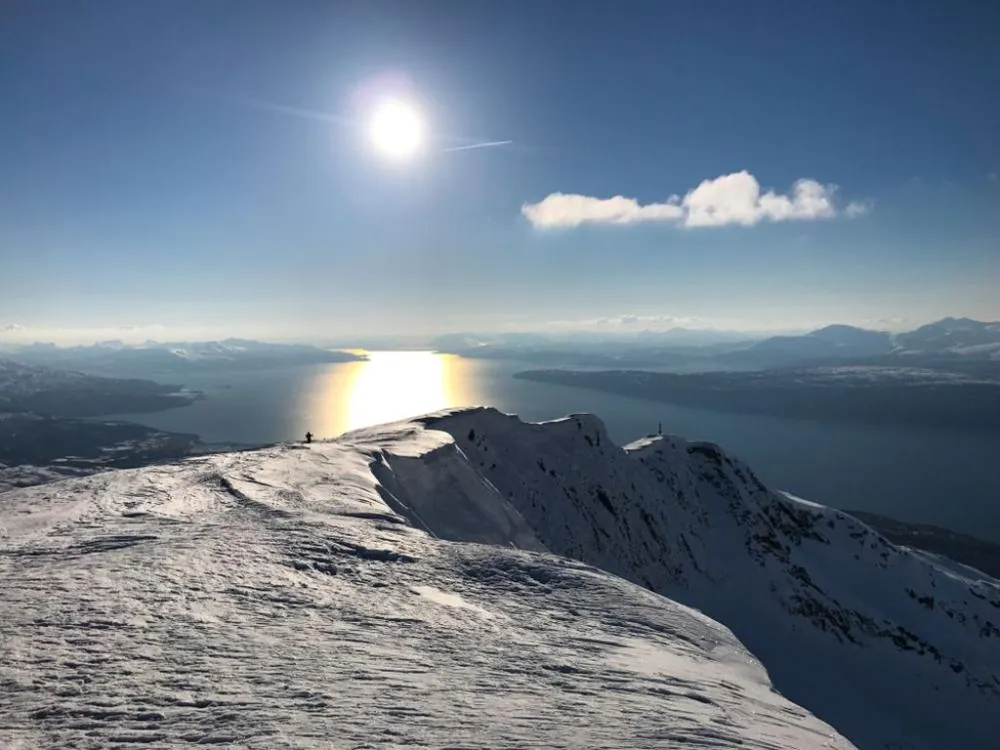 Narvikfjellet