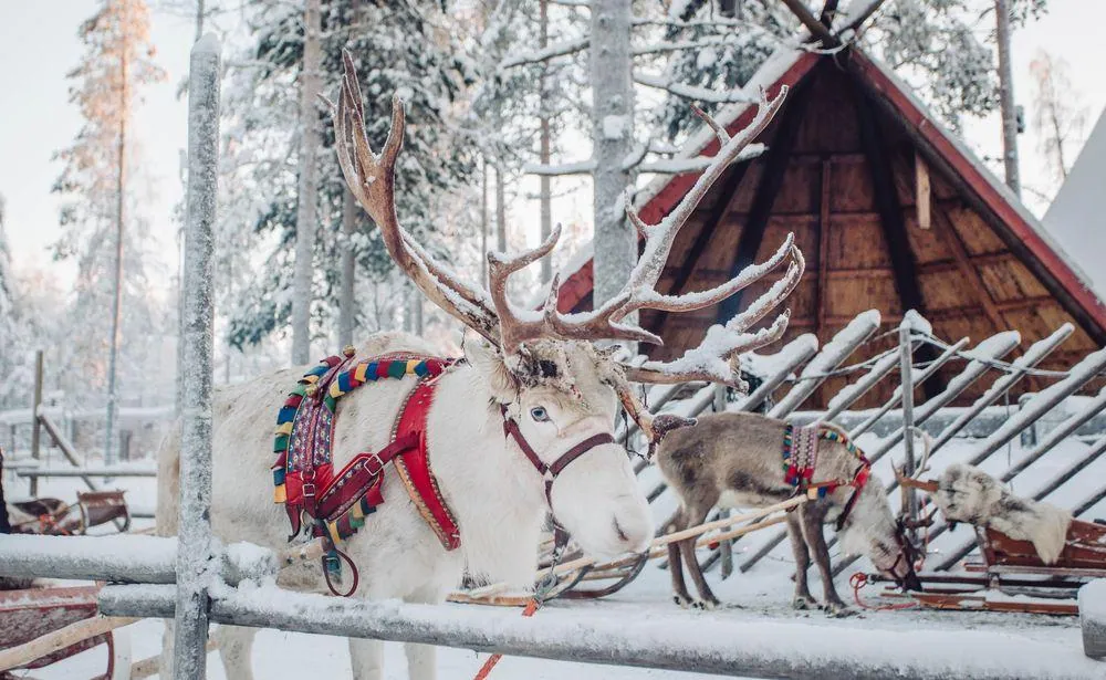 La storia di Babbo Natale in Norvegia