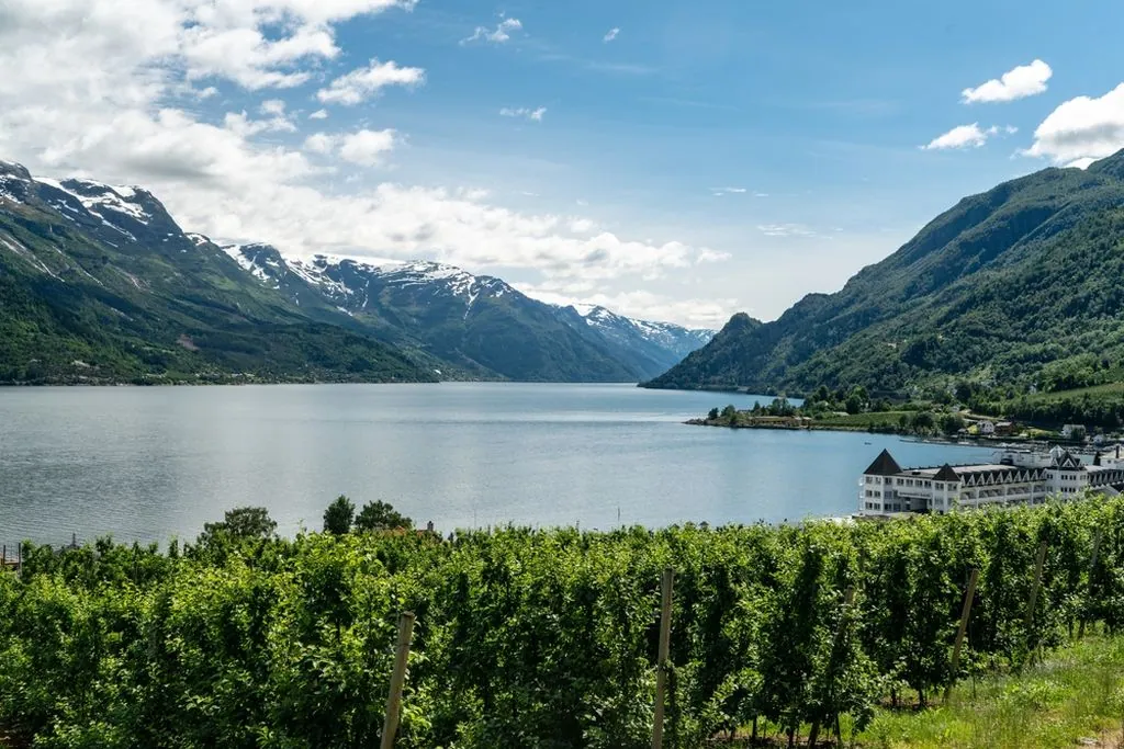 Handargerfjord