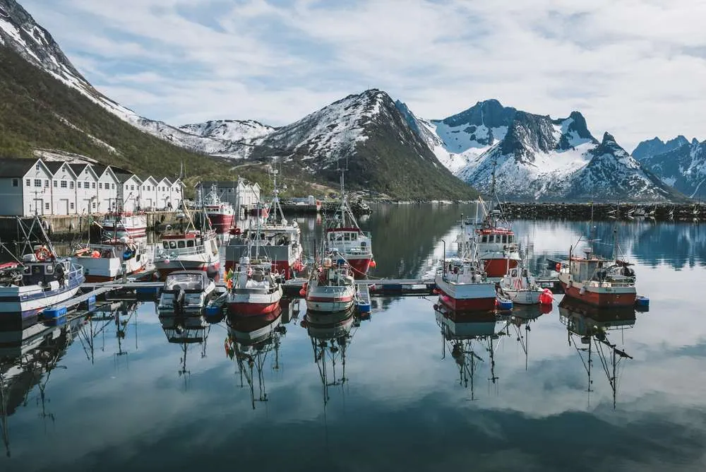 Wie komme ich zur Insel Husøy?