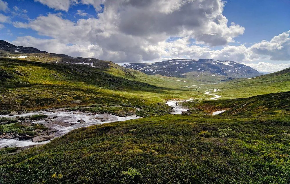 Parque Nacional de Dovrefjell-Sunndalsfjella