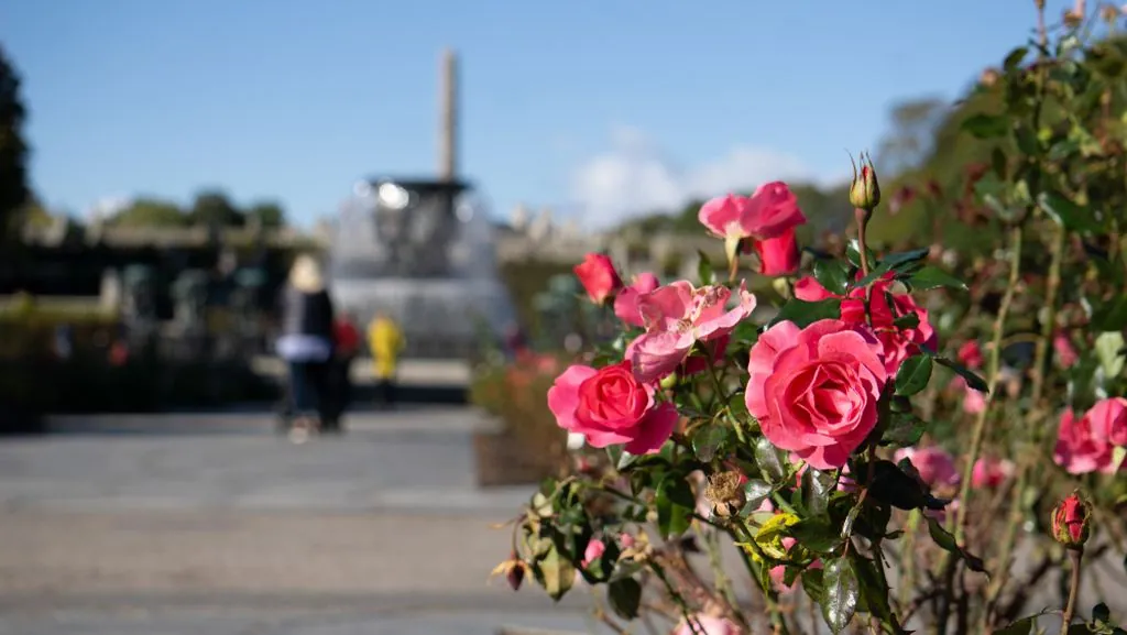 Vingeland skulpturpark i Oslo